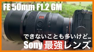 SONY 50mm F1.2GM メリット・デメリット｜カメラグランプリ2022レンズ賞受賞レンズレビュー