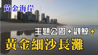 EP40 【生活系列】遊覽澳洲黃金海岸 Sea World 主題公園，出海觀鲸魚，黄昏漫步黄金細沙長灘 Main Beach