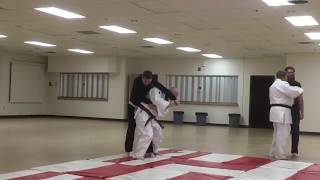 Tenshin Shinyo Ryu Ju Jitsu meet and greet demo