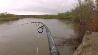 Prehistoric Paddlefish Fight from Cast to Finish