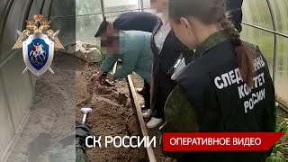 В Смоленской области продолжается расследование уголовного дела по факту убийства жителя Вязьмы