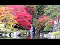 癒しと安らぎの紅葉狩り2012＠鹿沼市「古峯園」＆大芦渓谷「オオモミジ」