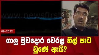 ගාලු මුවදොර වෙරළ නිල් පාට වුණේ ඇයි?