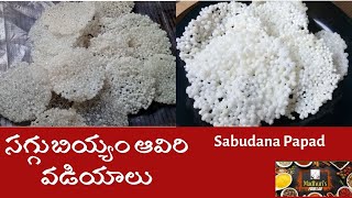 Saggubiyyam Aaviri Vadiyalu | సగ్గుబియ్యం ఆవిరివడియాలు | 100%perfectSabudnanaFryums | SabudanaPapad