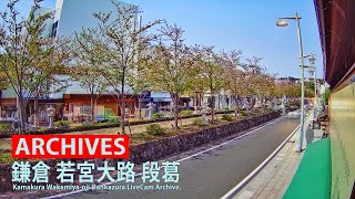 【アーカイブ専用配信】鎌倉 小町 若宮大路 「段葛」ライブカメラ 24/7　Kamakura Dankazura LiveCam Archive 2022-10-10-11:00~