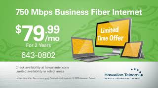 Hawaiian Telcom Business Internet: New Year. New Speed...at a special price.