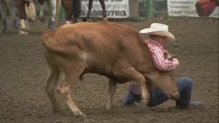 Right or wrong? Rodeo debate rages on between activists, organizers