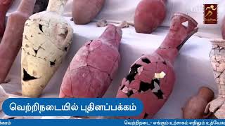 எகிப்தில் இவ்வளவு பழசா இந்த நகரம்|Golden #City Egypt|வெற்றிநடை #புதினப்பக்கம்