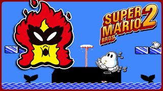 Flurry Fumbles | Super Mario Bros 2 Blind (4)