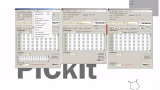PICkit Plus Basic Usage