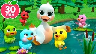 5 Colorful Rainbow Little Ducks | Newborn Baby Songs & Nursery Rhymes