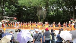 大富士with雄大グループ（2014スーパーよさこい1日目・文化館ステージ1日目）