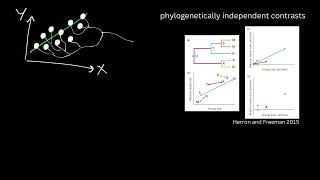 EvoBioCC Tree Thinking Clip 1 - Phylogenetic Comparative Methods