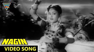 Man Dole Mera Tan Dole Video Song || Nagin (1954) Movie ||   Vyjayanthimala, Pradeep  || Eagle Mini