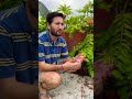 Zero Rupees mein Gardening! 5 saste jugaad! 🌿🌿🌿