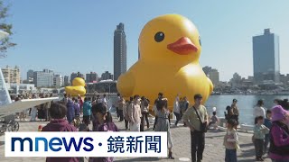 情人節甜蜜蜜！　小鴨將「比翼」遊高雄港合體放閃｜#鏡新聞