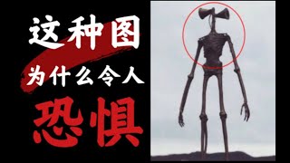 【巨物恐惧】为什么这种图令人恐惧不安？巨物恐惧症是什么？——胆小勿看！！