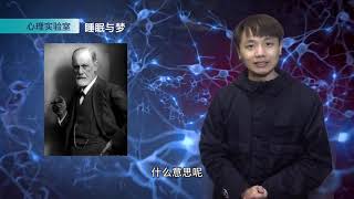 《心理实验室》睡眠与梦——人类睡觉时眼睛会动？！梦究竟暗示着什么？