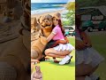 💥 evolution of dog wefie with mom ✅️ doglover puppy dog shorts copydoggy