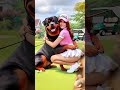 💥 evolution of dog wefie with mom ✅️ doglover puppy dog shorts copydoggy