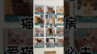 香港探店🐱愛貓之人必去｜貓之茶房💁🏻‍♀️旺角太子