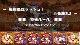 【パズドラ】 極限降臨ラッシュ 百花繚乱2 肉PT