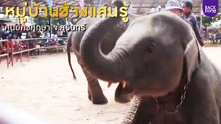 หมู่บ้านช้างแสนรู้ ศูนย์คชศึกษา จ.สุรินทร์ | ท่องทั่วไทย