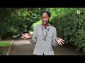 Vision Alone Is Not Enough: Why Patience and Diplomacy Matter | Kinda Marygorety