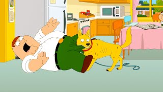 [NoZoom] Family Guy 2025 Season 19 Ep 17 - Family Guy Full Episodes NoCut #1080p