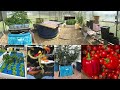 auburn university small scale aquaponics demonstration greenhouse