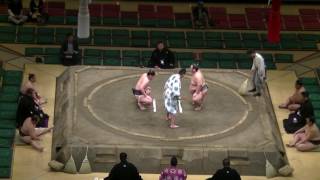 朝森本-徳田/2017.5.27/asamorimoto-tokuda/day14 #sumo