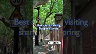 Visiting shanghai: top 10 must go spots in spring ; 上海春季10大必去旅游景点推荐