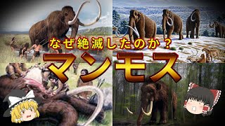 【ゆっくり解説】古代生物「マンモス」の謎