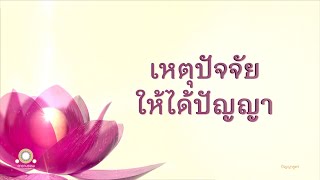 เหตุปัจจัยให้ได้ปัญญา | ปัญญาสูตร