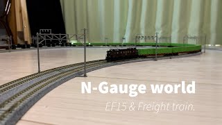 [N-Gauge world]EF15\u0026FreightTrain