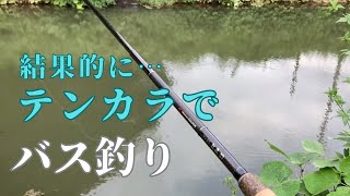 テンカラでハヤ狙うも釣れたのは…？