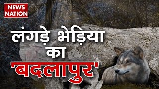 Bahraich Wolf Attack: भेड़ियों को पकड़ना चुनौती क्यों बन गया? लंगड़ा भेड़िया ले रहा बदला ?