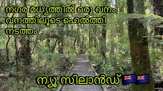 ന്യൂ സിലാൻഡ് -  വൈകുന്നേരങ്ങളിലും രാവിലെയും നടക്കാൻ പറ്റിയ ഒരു അടിപൊളി സ്‌ഥലം | #newzealand |  HMLTN