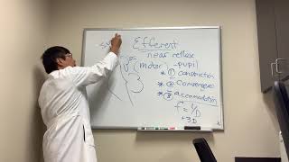 Efferent Pathway Near Reflex