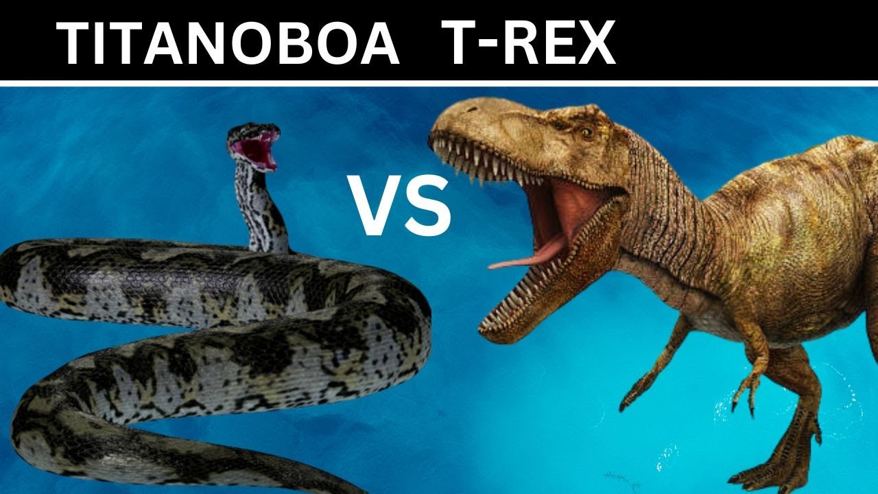 Titanoboa Vs T Rex Youtube Titanoboa Vs T Rex Youtube