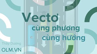 Vectơ cùng phương, vectơ cùng hướng | Toán 10 | OLM.VN