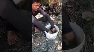 Đổ bùn vào hang sâu, vài phút sau cua tự bò lên chịu bắt! #fishing