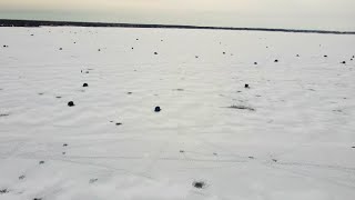 Ice Fishermen - Lake St Clair - Anchor Bay - 4K