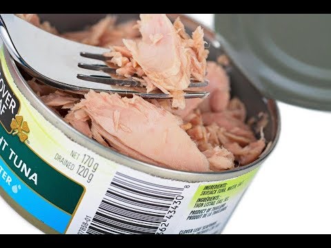 Tuna Processing Line рџђџ Youtube