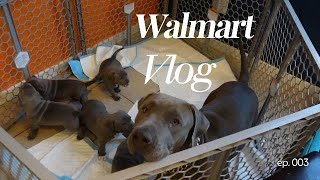 Walmart Shopping Vlog, Getting Puppy  And Kid Supplies