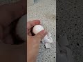 Satisfying cracking egg shell #shorts #asmr