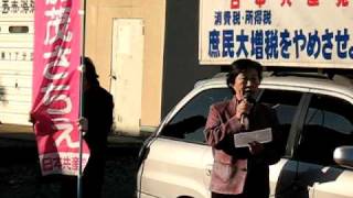 日本共産党 茨城県筑西市議会議員 加茂さちえ街頭演説（2011.01.14）