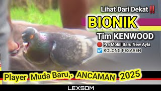 🔴 Lihat Dari Dekat ‼️ BIONIK' Player Muda Baru Tim KENWOOD; LossDorr,.. Ancaman 2025