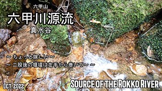 《六甲川源流》 二股の後は右岸から巻いて😉🏞️💦