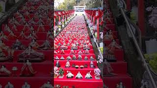 勝浦遠見岬神社ビッグひなまつり⑦